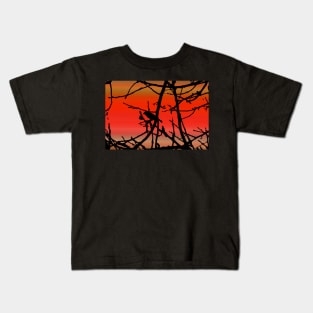 House Finch In Tree Silhouette on Tuscan Sunset Kids T-Shirt